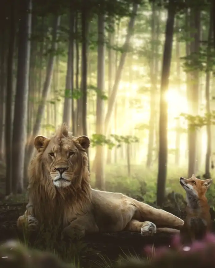 Lion Sitting CB Photo Editing Background HD Download