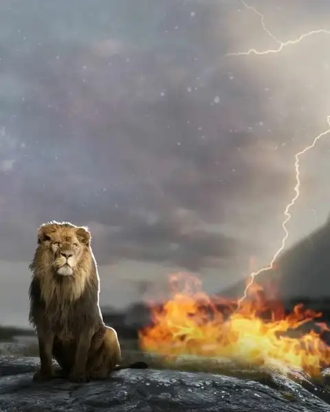 Lion Sittting Picsart Editing Background Full HD Download