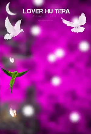 Love Tu Tera Pigeon Snapseed Background HD Download