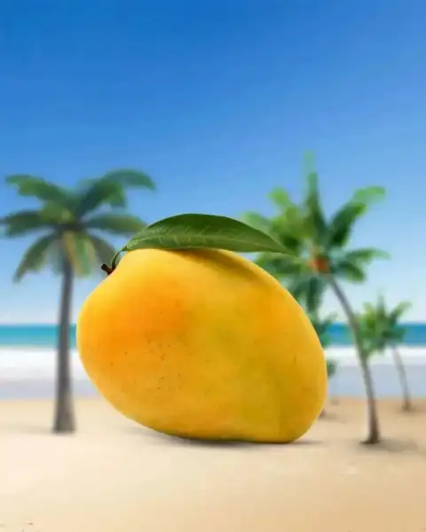 Mango In Beach Picsart Background Full HD Download