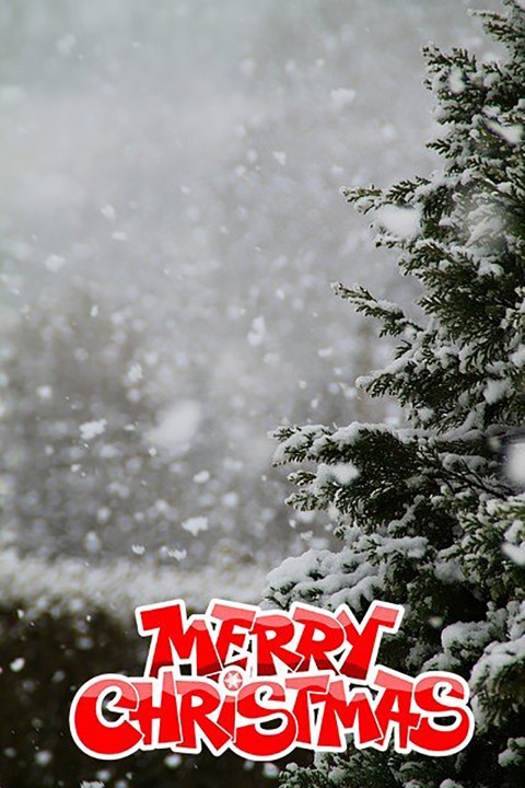 Merry Christmas Winter CB PicsArt Background