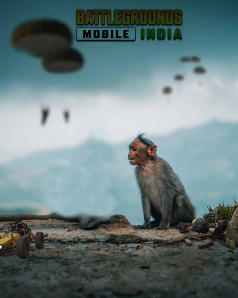 Monkey  Battleground India Background Download