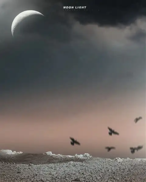 Moon Light Plane Picsart Background HD Download