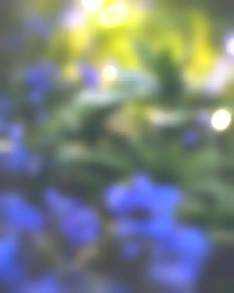 Nature Blur Picsart CB Editing HD Background Free Download