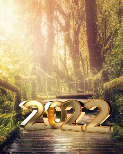 Nature Forest Happy New Year 2022 CB  Editing Background