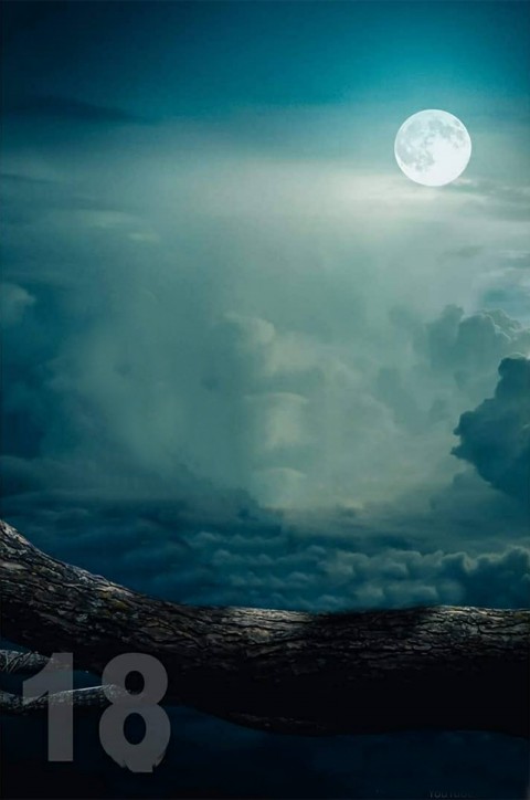 Nature Night CB Background With Moon