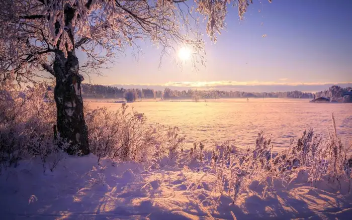 Winter Sun Wallpapers | HD Wallpapers | ID #6629