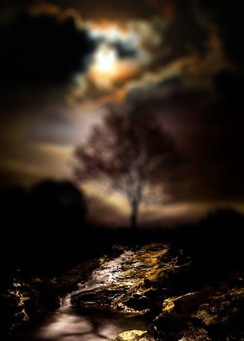 Night Moon Forest CB Editing Background Full HD Download