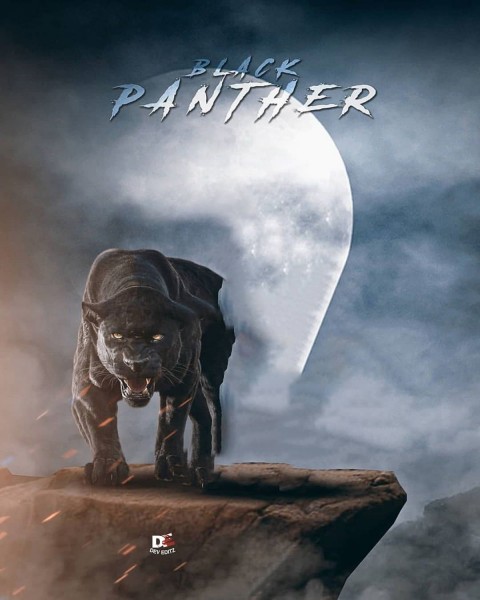 Panther Editing Picsart Background Downlaod