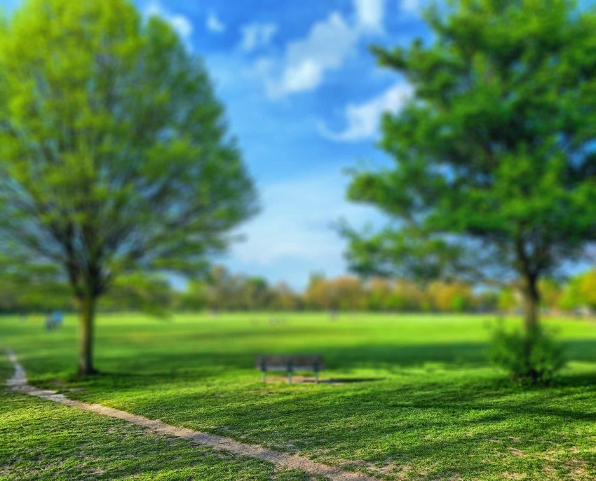 Park Photoshop Editing Background Full HD Download - CBEditz