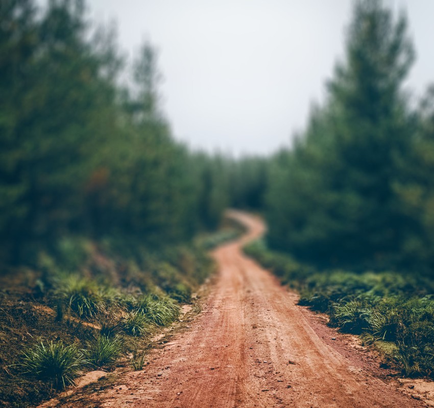 Photoshop Forest Road  Background Full HD Download