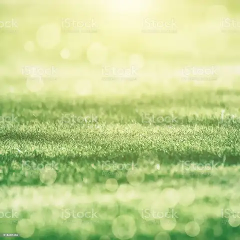 Thumbail Of Green Grass Field Background