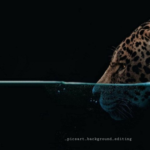 Picsart Cheeta Face In Underwater Background
