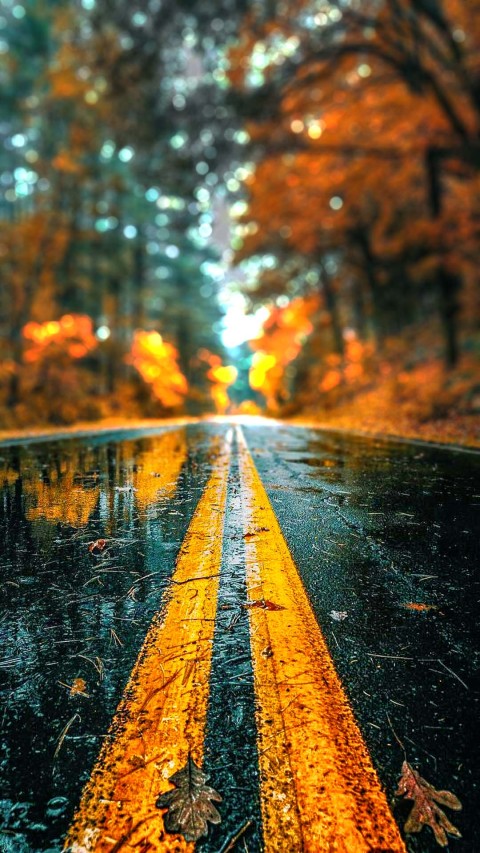 Road background picsart editing for creating amazing edits