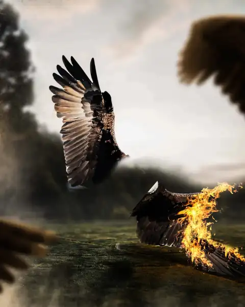 Picsart Fire Wings Editing Background Full HD Download