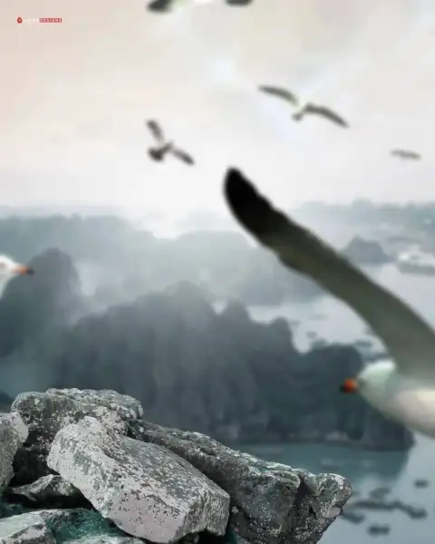 Picsart Flying Bird Editing Background Full HD Download