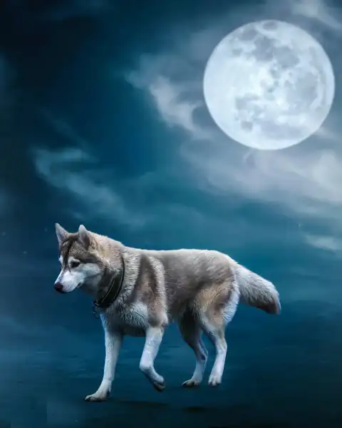 Picsart Moon Woff Walking Background Full HD Download
