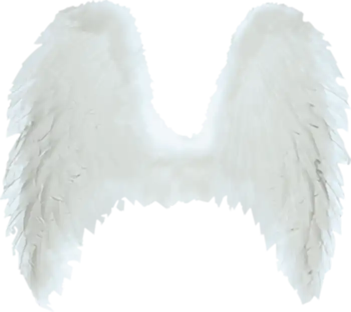 Picsart White Wings PNG Images Download