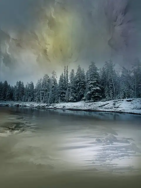 Portrait Studio Winter Forest Background HD Download