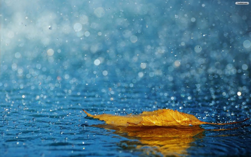 Real Rain High Resolution   Background Download