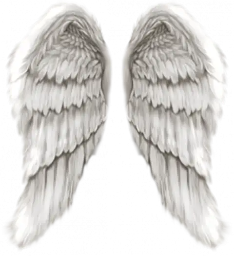 Realistic Wings PNG Transparent Background