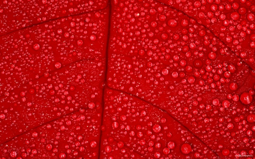 Red Rain HD Background Download Free