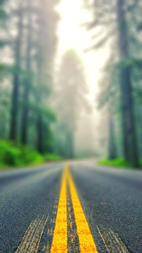 Road Blur Forest Picsart Editing Background Full HD Download