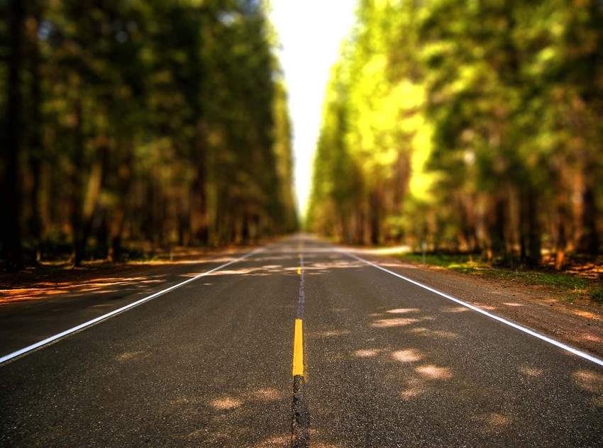 Road With Forest CB Picsart Editing Background HD Download