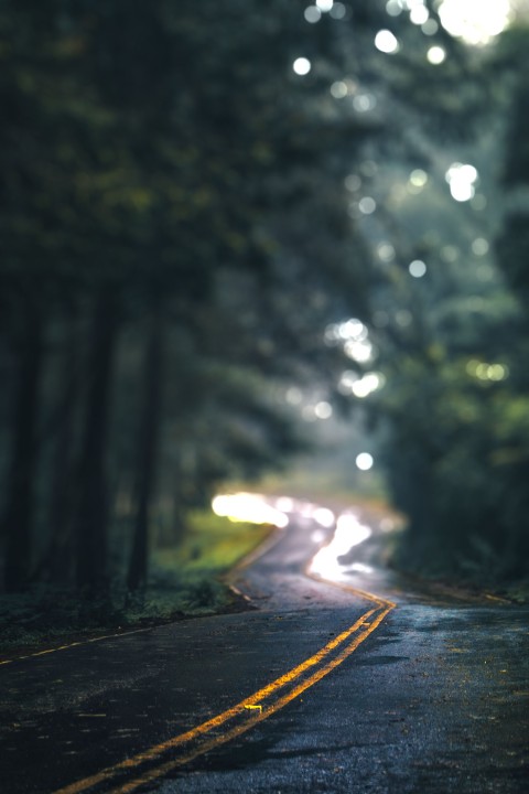 Road With Tree CB   Editing Background HD Download