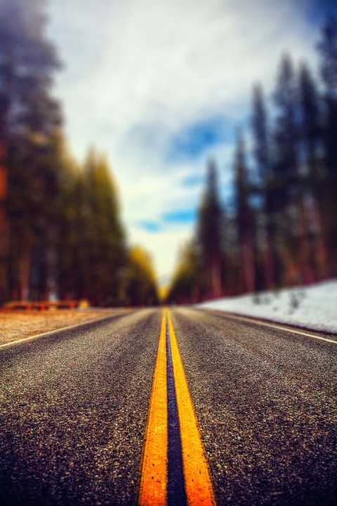 Road With Tree CB Editing Background HD Download