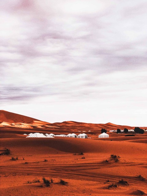 Sahara Desert Photo Editing Background HD Download - CBEditz