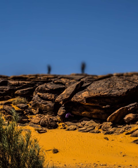 Sahara Desert Picsart Editing Background HD Download - CBEditz
