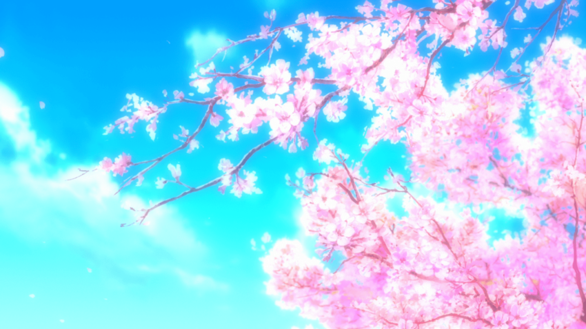 Sakura Tree Background Hd Sakura Tree In Japan Wallpaper Hd 4k