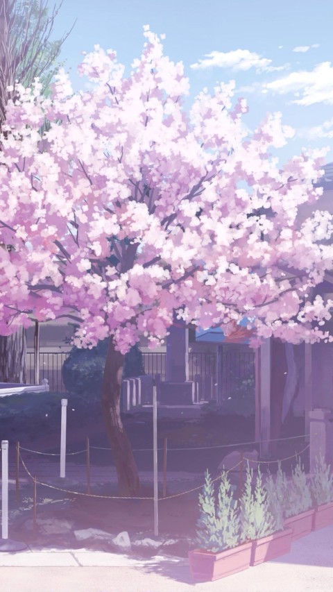 Cherry Blossom Iphone Wallpaper Discover more aesthetic Anime background  desktop high res  Cherry blossom wallpaper Landscape photography  Nature photography