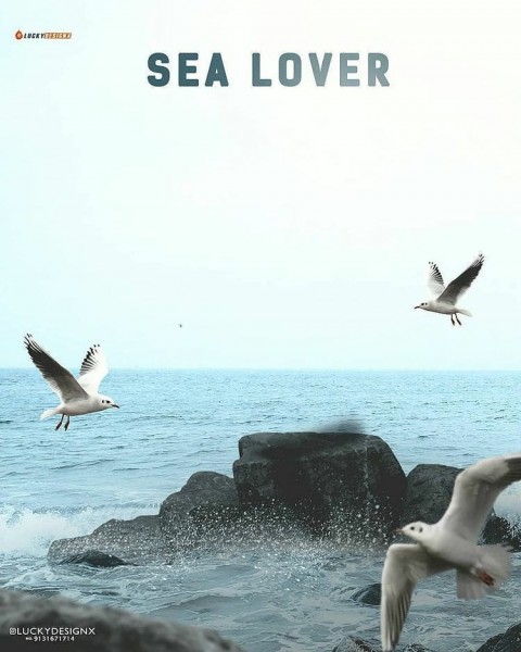 Sea Lover Photo Editing Background HD Download