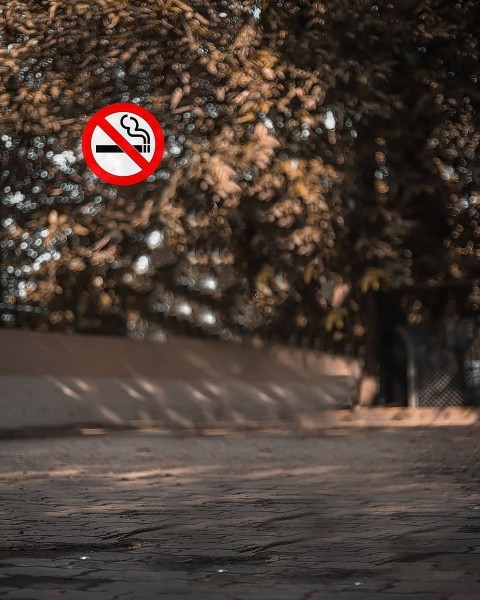 SmokeingCB Background