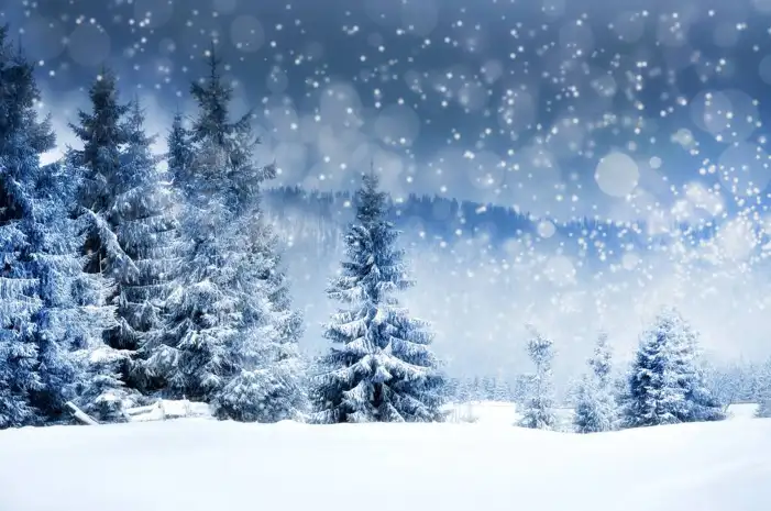 🔥 Snow Tree Forest Background Hd Images Free 