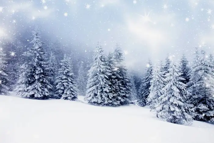 🔥 Snow Tree Forest Background HD Images Free | CBEditz