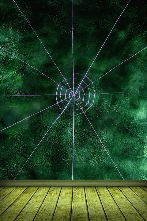 Spider Green Indoor Studio Background HD Download