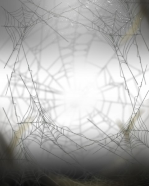 Spider Photo Editing HD Background Download