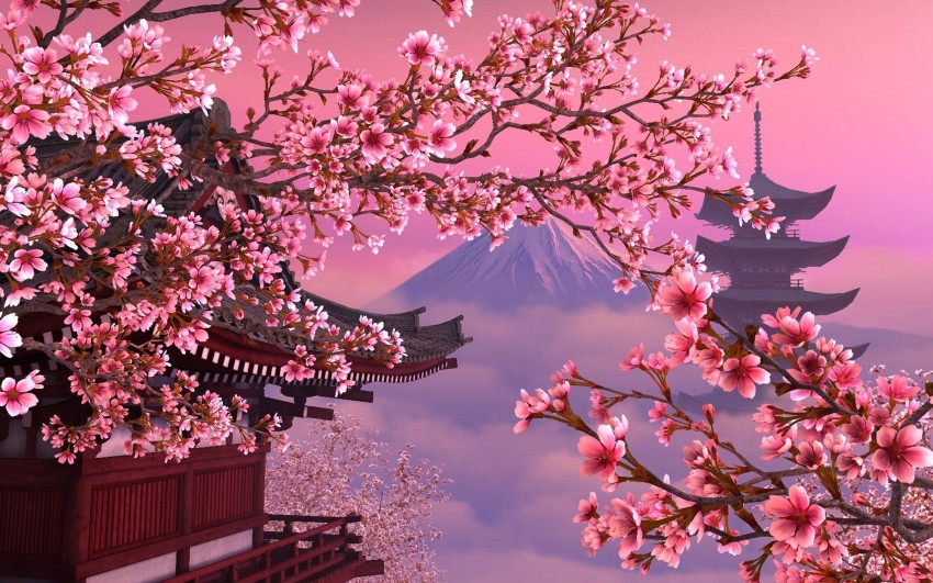 Spring Cherry Blossom Tree Background HD Download