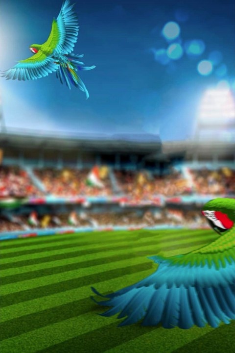Stadium PicsArt Editing Background HD Pic
