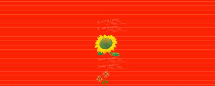 Sunflower Flex Banner Background Download
