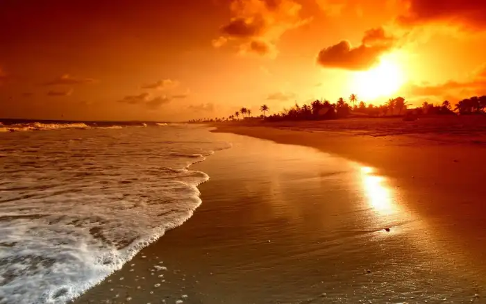 Thumbail Of Sunset Beach Background