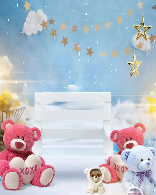 Teddy Bear CB Background HD Download