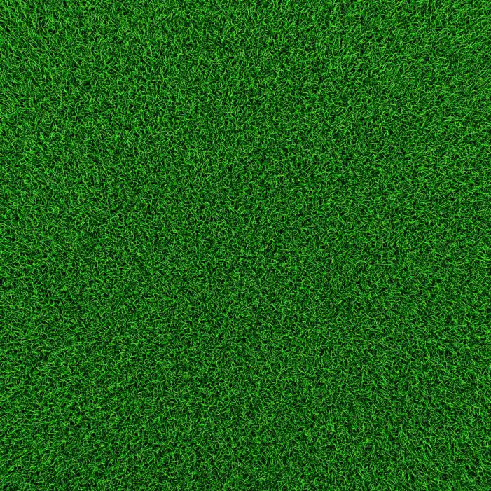 🔥 Texture Green Real Grass Field Background HD Images Free | CBEditz