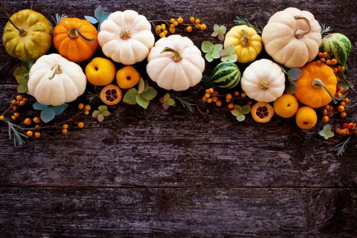 🔥 Thanksgiving Pumpkins And Acorns An A table Background HD Images ...