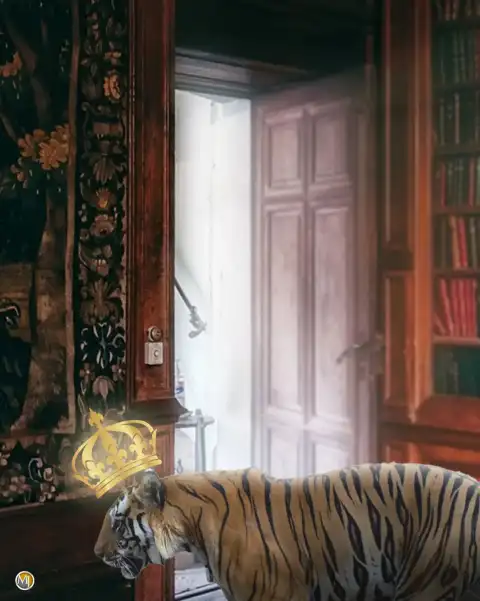 Tiger Crown King PicsArt Editing Background Full HD Download