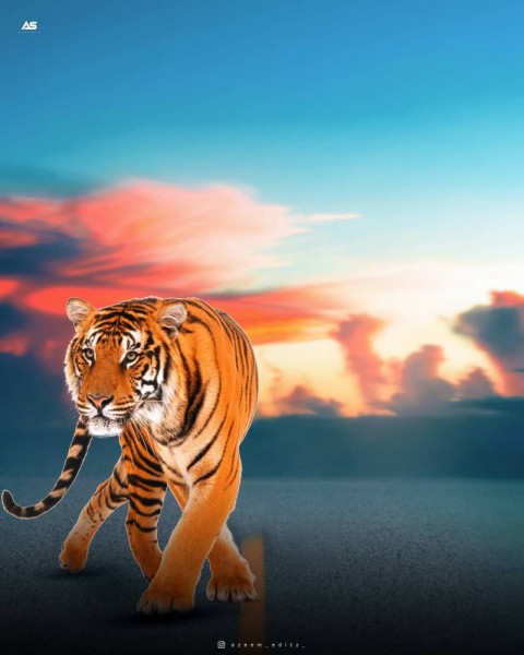 Tiger PicsArt CB Editing  Background HD