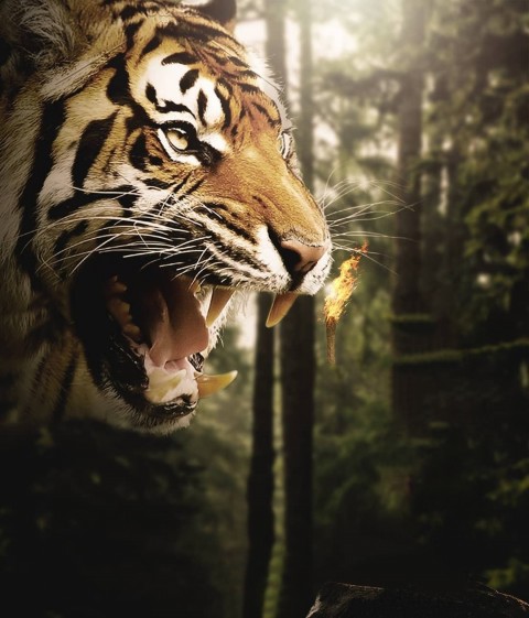 Tiger PicsArt Photo Editing Background Full hd